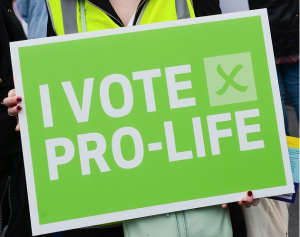 I vote pro life sign