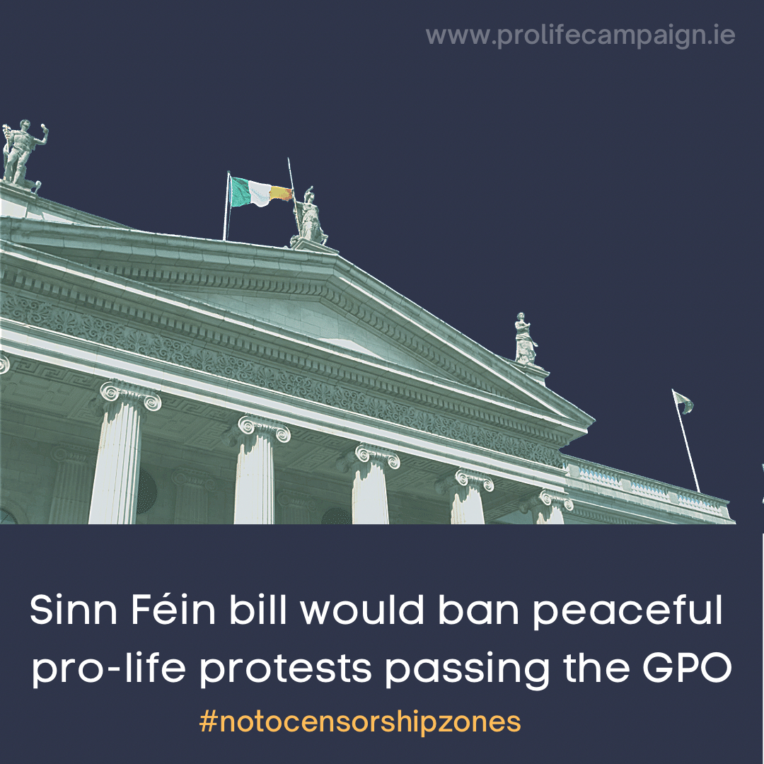 11.2.2022 – Sinn Féin sponsored bill on “access zones” is nothing but a smear attack on the pro-life movement
