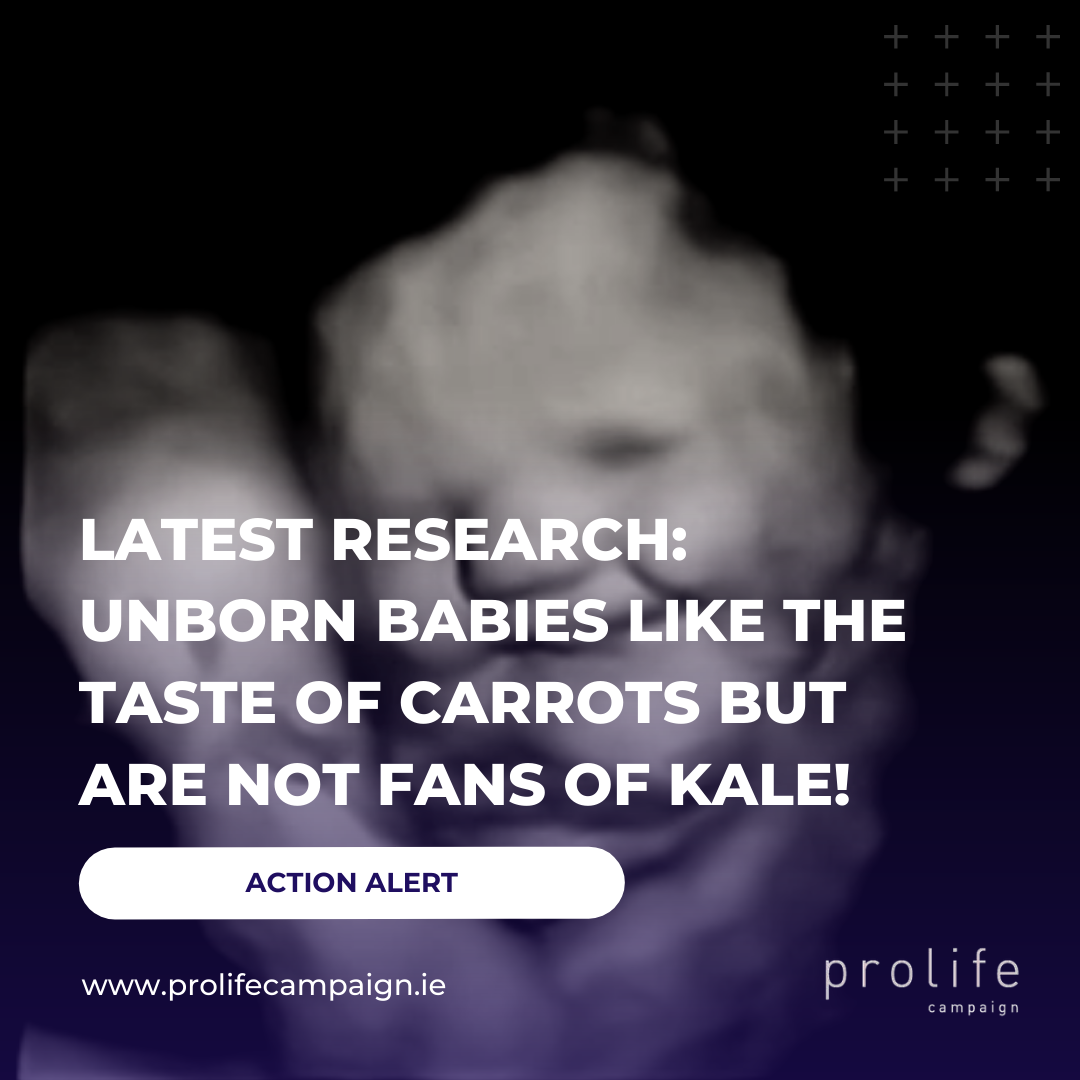 23.09.2022 – Latest Research: Unborn babies like the taste of carrots but are not fans of kale!