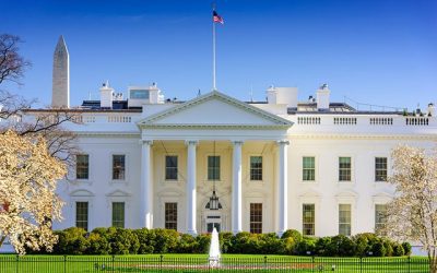 Trump-Vance administration closes government abortion website on first day in office