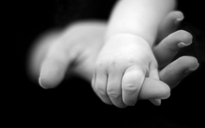 HSE’s decision to gather more comprehensive data on abortions taking place – a very welcome move, says PLC