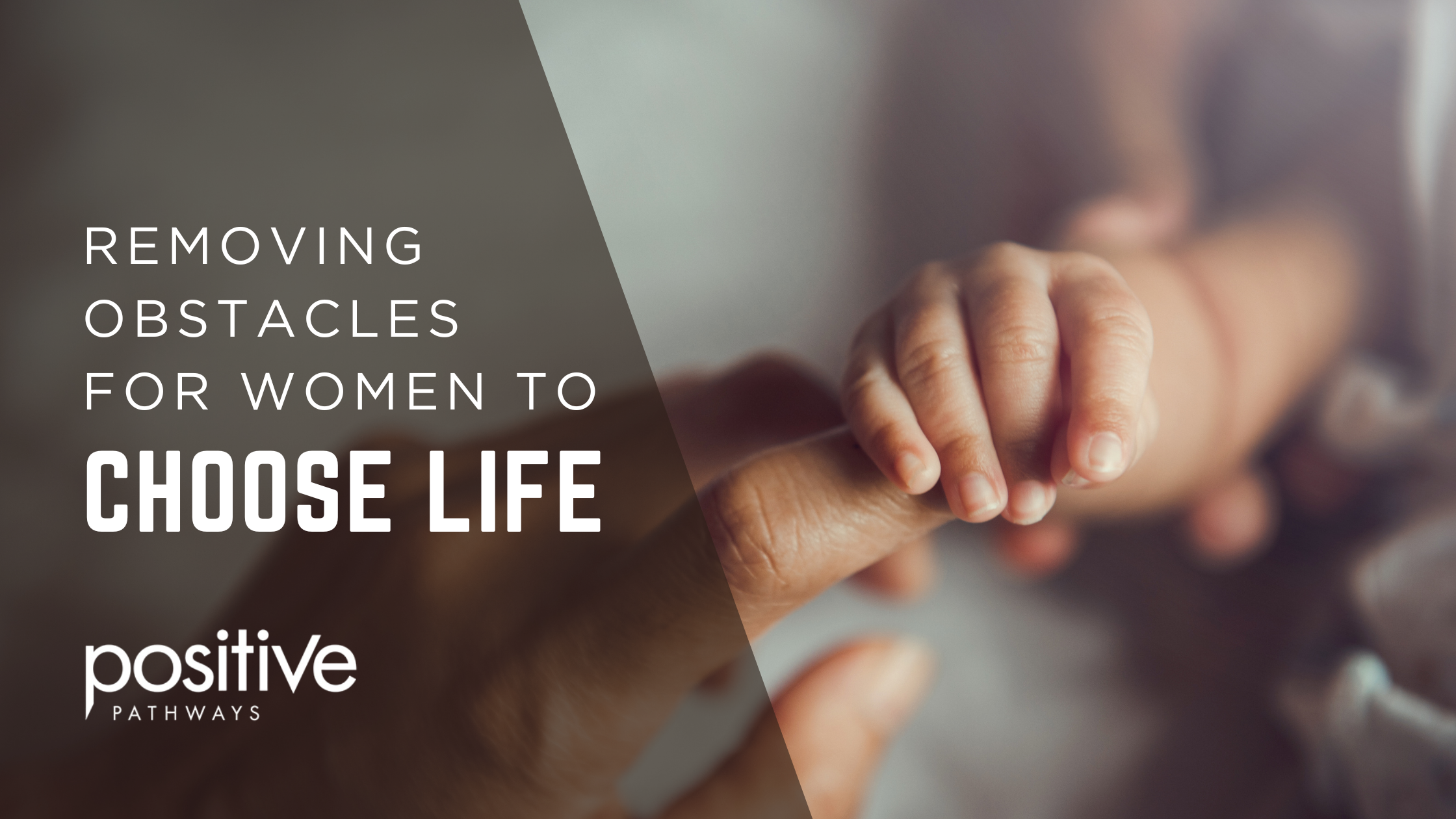 Positive Pathways Banner Positive Pathways