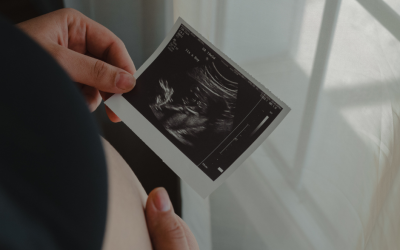 PLC calls on TDs to reject Social Democrats’  “dangerously shortsighted” abortion bill