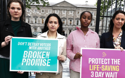 Wednesday’s Dáil Win: What We Know, What It Means, What Comes Next