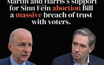 Martin and Harris’s support for Sinn Féin bill a massive breach of trust with voters