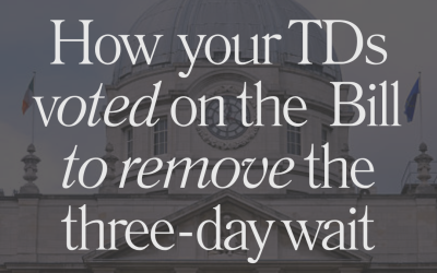 How Your TDs Voted on Sinn Fein Bill to Remove Three-Day Wait