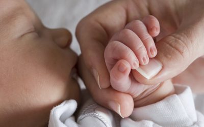 HSE abortion report is “selective and sanitised”, says PLC